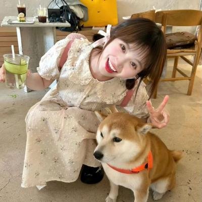 猫行东方